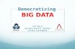 Democratizing Big Data