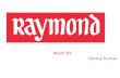 Raymond ltd.