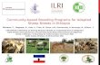 Community-based breeding programs for adapted sheep breeds in Ethiopia