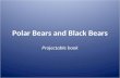 Polar bears and black bears