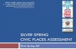 Silver Spring Placemaking Presentation