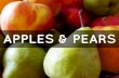 Apple and Pears? – The relationship of popular social media networks and professional knowledge sharing networks