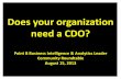 Does your organization need a Chief Data Officer (CDO) ?