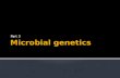 Microbial genetics and genetic engineering