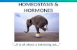 Homeostasis & hormones