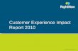 2010 Customer Experience Impact Report