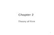 Theory of firm