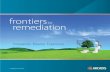 Frontiers In Remediation Innovation Balance Experience E Book Spreads