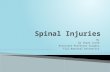 Spinal injuries
