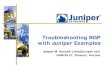 Troubleshooting BGP Juniper Examples