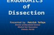 Ergonomics In Dissection