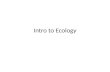 10 8-13 Intro to Ecology Presentation