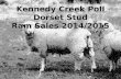 Kennedy Creek Poll Dorset Stud - Ram Sales October 2014
