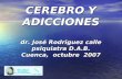 CEREBRO Y ADICCIONES dr. José Rodriguez calle psiquiatra D.A.B. Cuenca, octubre 2007.