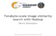 Terabyte-scale image similarity search with Hadoop