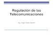 Regulacion Telecomunicaciones