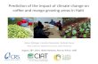 Impact of climate change on coffee and mango growing areas in Haiti