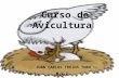 JUAN CARLOS TREJOS TORO M.V.Z. Curso de Avicultura.