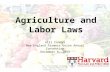 Agricultural Labor Laws - Presented at NEFU Annual Meeting