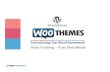 Woo framework overview [wordcampmke2012]