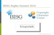 BISG Rights Summit June 11, 2014 (Len Vlahos, BISG)