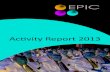 EPIC Activity Report 2013