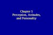 Perception, Attitudes personality