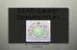 Eced career opportunities
