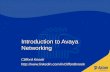 Introduction to Avaya IP Networking - Azlan