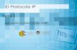 El Protocolo IP Tema 3 Aplicaciones en Redes Locales 05/06.