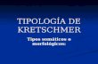 TIPOLOGÍA DE KRETSCHMER Tipos somáticos : Tipos somáticos o morfológicos: