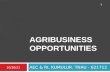 Agribusiness opportunities