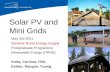 Mini grid and Solar home system