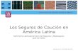 Los Seguros de Caución en América Latina Seminario Latinoamericano de Seguros y Reaseguros José de Vedia Buenos Aires, 24 de abril de 2013.