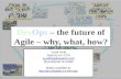 Dev ops the future of Agile - Yuval Yeret - Agile Israel 2014