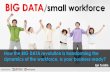 BIG DATA, small workforce