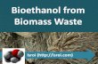 Bioethanol from biomass waste