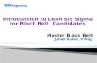 Lean  Six Sigma overview Julian Kalac