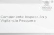 Diciembre 2012 Componente Inspección y Vigilancia Pesquera.