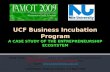 IAMOT2009 UCFBIP Entrepreneurship Ecosystem case study-ed01