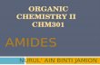 Chapter 8 amide