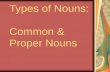 Lesson 8: Common and Proper Nouns