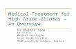 Medical Treatment for High Grade Gliomas – An Overview