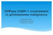 GTPase hGBP-1 involvement in glioblastoma malignancy