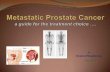 Metastatic prostate cancer.. a guide for treatment choice