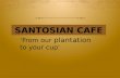 Coffee shop (santosian cafe)