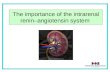 The importance of the intrarenal renin–angiotensin system.