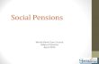 Pensions Core Course 2013: Social Pensions