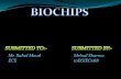Biochip seminar ppt 2014