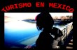 PERLA VIEYRA RENEE VALDERRAMA CARRION REGIONES TURISTICAS MAS VISITADAS EN MEXICO LAS ZONAS TURISTICAS MAS VISITADAS SON: NORTE DE MEXICO COSTA DEL PACIFICO.